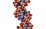 DNA structure