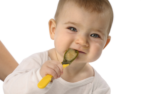 Is Bitter Better? The Wall Street Journal Explains Why Some Get Addicted to Sugar