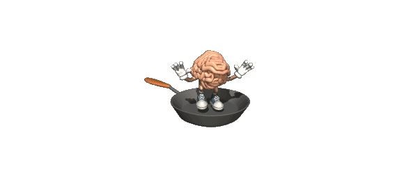 Fried Brain