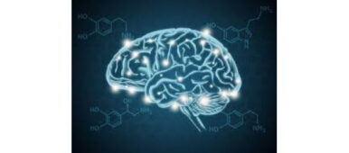 Brain Neurotransmitters