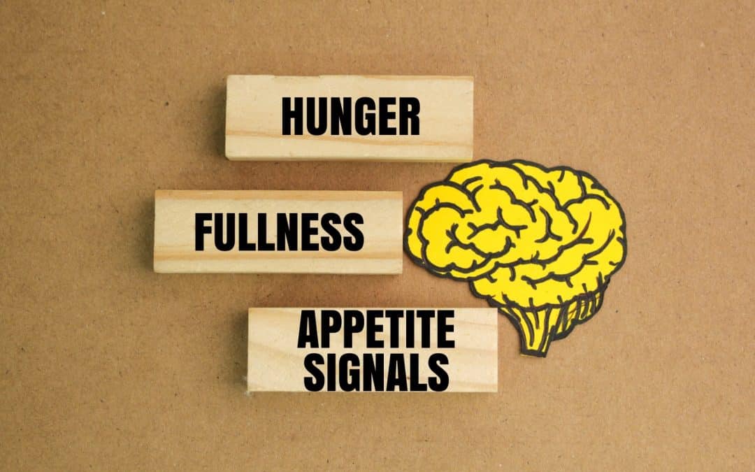 It’s Not Your Fault: Your Brain Is Making You Obese