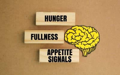 It’s Not Your Fault: Your Brain Is Making You Obese