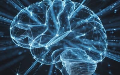 How to Optimize Your Brain Function
